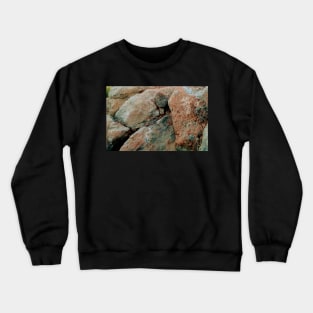 Rocks Crewneck Sweatshirt